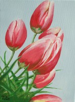 /album/a101-peintures-acryliques/a27-40-dscf4925-les-tulipes-ao%c3%bbt-2009-jpg/